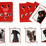Educational Playing Cards - Pets